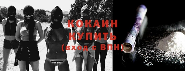 кокс Алзамай