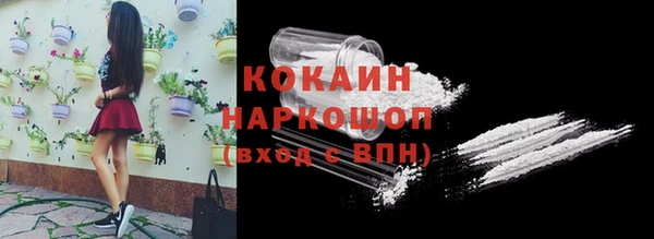 кокс Алзамай