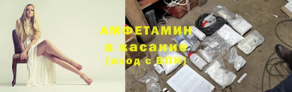 гашик Алексеевка