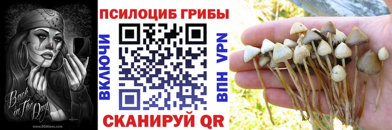 Галлюциногенные грибы Cubensis Сыктывкар
