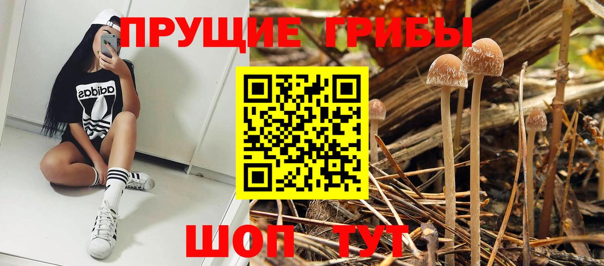 Псилоцибиновые грибы мицелий  где можно купить   Сыктывкар  Вход с VPN  Галлюциногенные грибы Psilocybe 